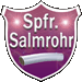 Wappen Spfr. Salmrohr