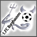 Wappen 1. FC Burghausen