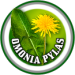 Wappen Omonia Pylas