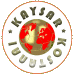 Wappen Kaysar Kostanai
