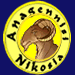 Wappen Anagennisi Nikosia