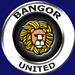 Wappen Bangor United