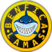 Wappen Benfica Lamas