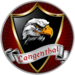 Wappen Gelb-Rot Langenthal