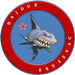 Wappen Hajduk Krusevac
